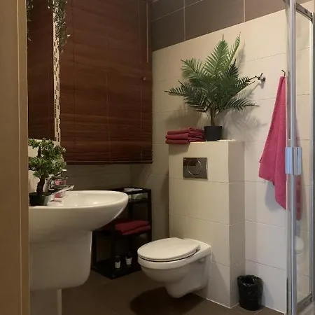 Apartament Pułaskiego 11a - Przestronne Apartamenty, Centrum *